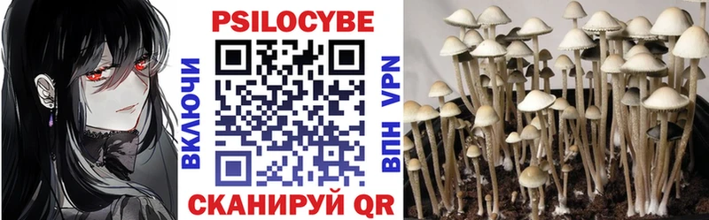 Купить закладки  Мураши  Псилоцибиновые грибы Cubensis 